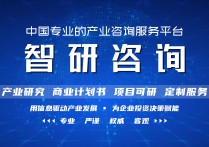 2022-2028年中国生物医药产业园行业市场运行格局及发展策略分析报告